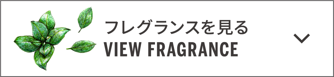 ドクターブロナー オールワントゥースペースト フレングランス一覧へ