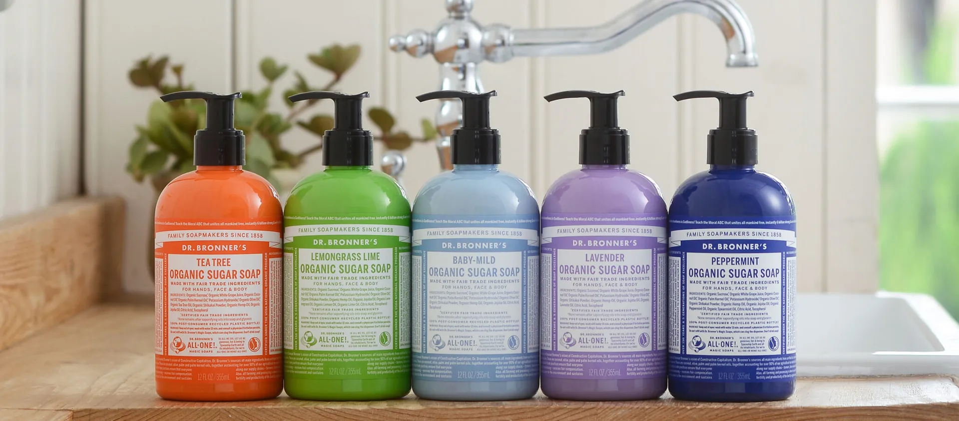 オーガニックシュガーソープメインビジュアル