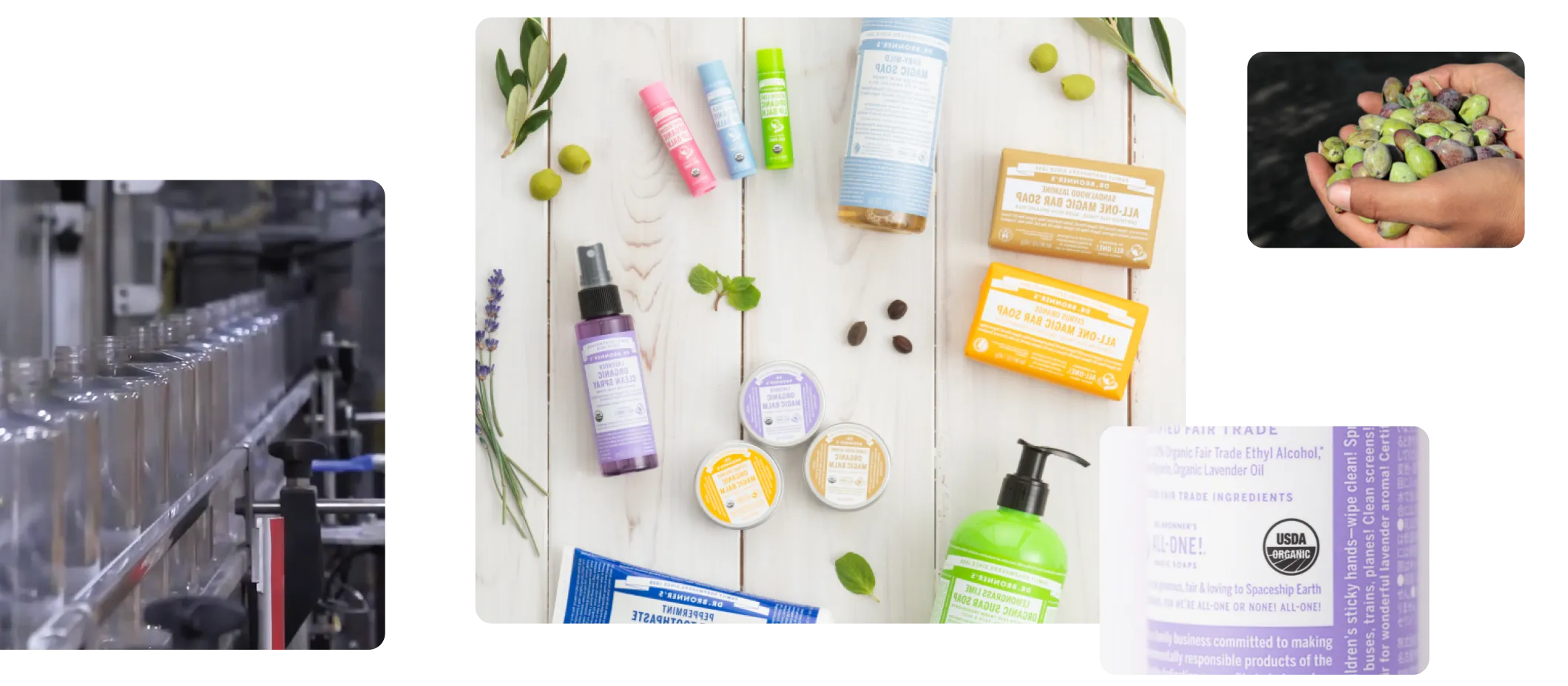 all-one vision イメージ画像