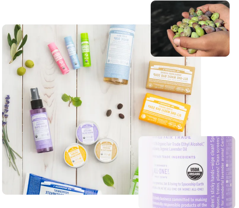 all-one vision イメージ画像