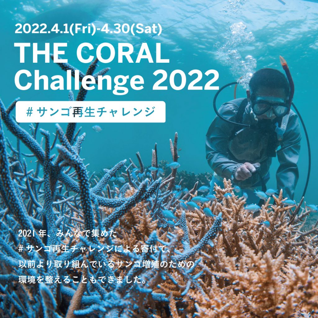 https://www.drbronner.jp/topics/event/the_coral_challenge2022/