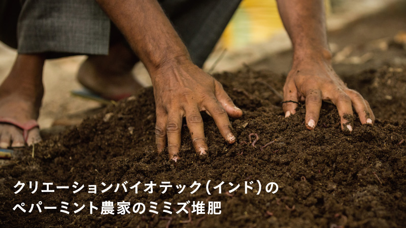 【ドクターブロナー】リジェネラティブ・オーガニック農法ではミミズ堆肥を使用